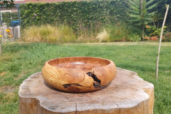 WhatsApp Image 2025-09-19 at 16.30.42 (1)