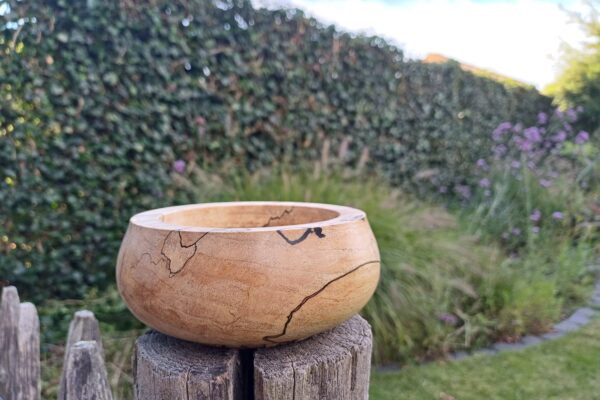 WhatsApp Image 2025-09-19 at 16.30.48 (1)