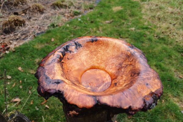 WhatsApp Image 2025-09-19 at 16.30.50