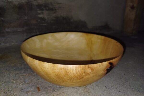 WhatsApp Image 2025-09-19 at 16.37.30 (1)