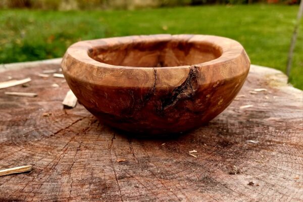 WhatsApp Image 2025-09-26 at 19.50.53