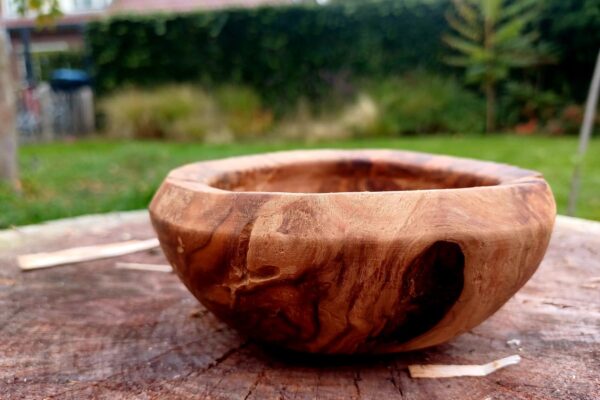 WhatsApp Image 2025-09-26 at 19.50.54 (1)