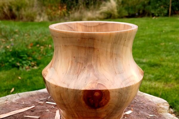 WhatsApp Image 2025-09-26 at 19.52.28