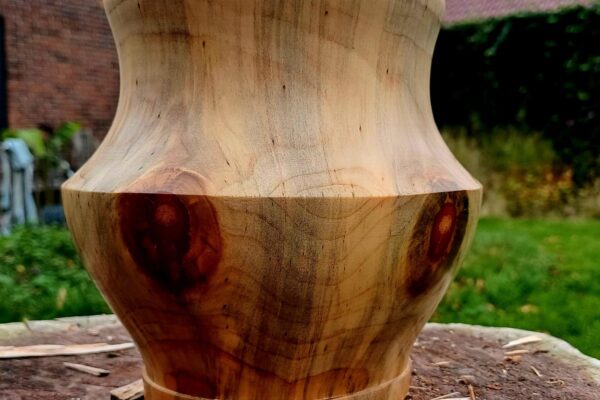 WhatsApp Image 2025-09-26 at 19.56.12