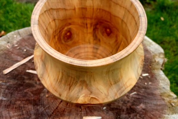 WhatsApp Image 2025-09-26 at 19.57.55 (1)